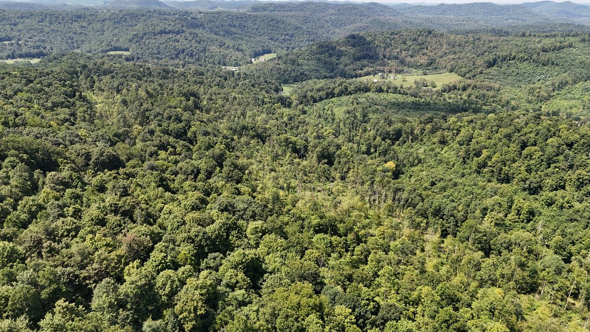 Image for 119 Acres off Spall Lick Road in Barbour County