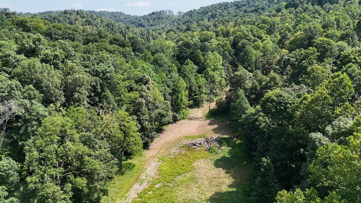 Image for 119 Acres off Spall Lick Road in Barbour County