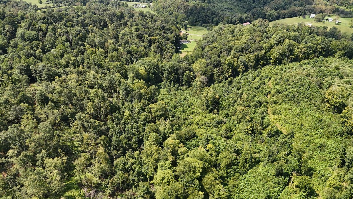 Image for 119 Acres off Spall Lick Road in Barbour County