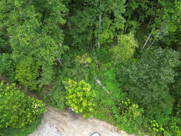 Image for 151 Surveyed Acres in Boone County Selling to the Highest Bidder