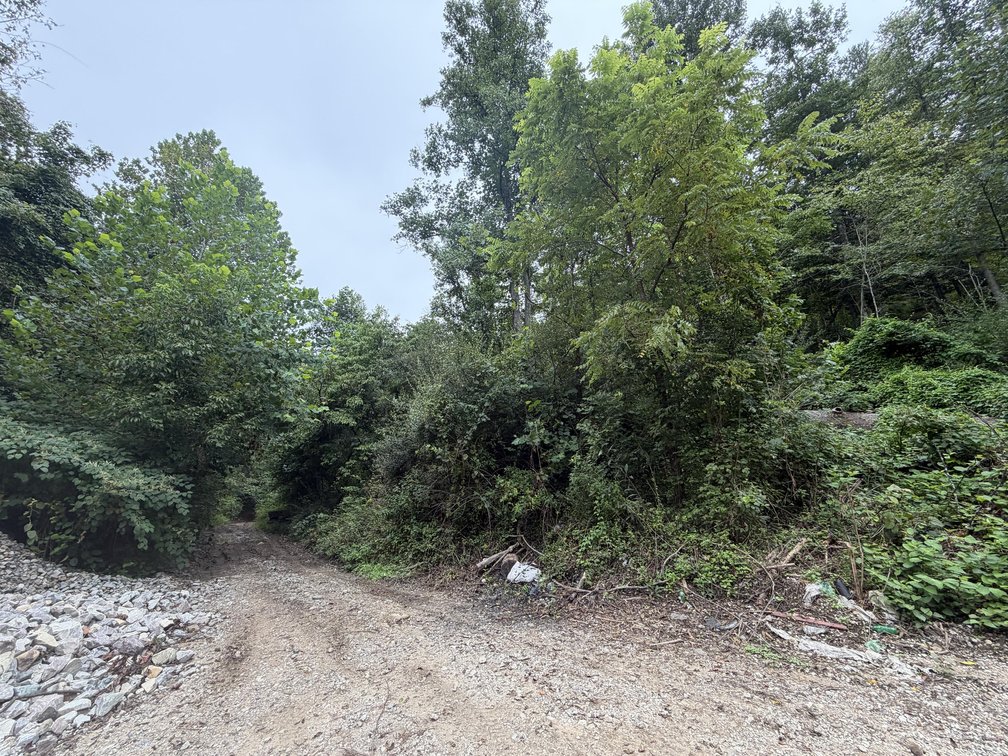 Image for 151 Surveyed Acres in Boone County Selling to the Highest Bidder