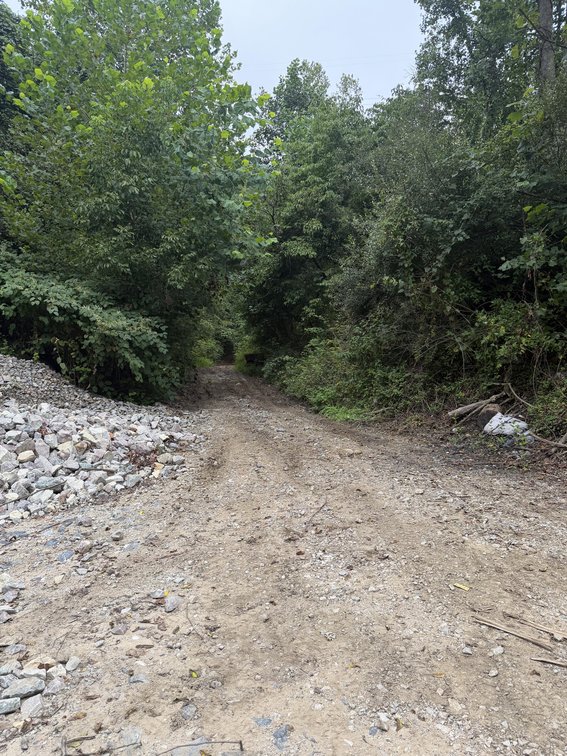 Image for 151 Surveyed Acres in Boone County Selling to the Highest Bidder