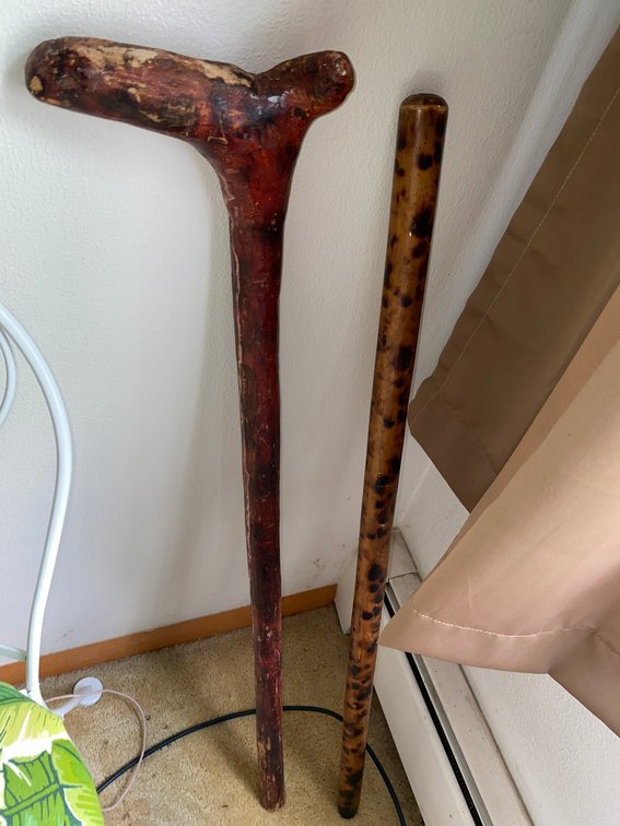 Cane, walking stick