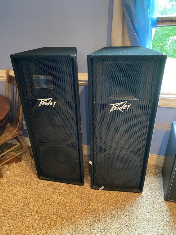 2 Peavey PV215 speakers