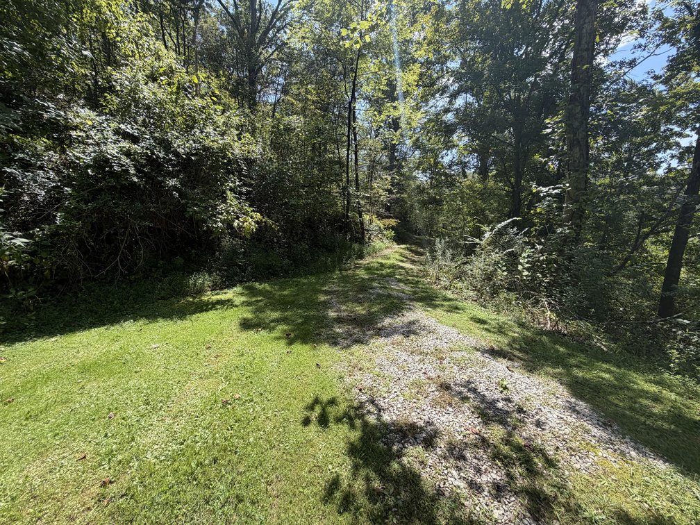 Image for 3 Bedroom on a Large Lot in Charleston Selling to the Highest Bidder