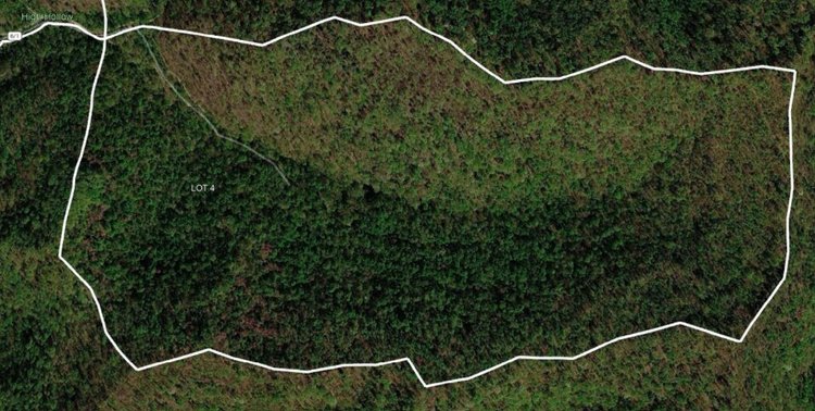 Image for 165 Surveyed Acres in Boone County Selling to the Highest Bidder