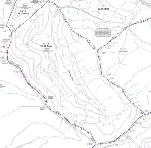 Image for 165 Surveyed Acres in Boone County Selling to the Highest Bidder
