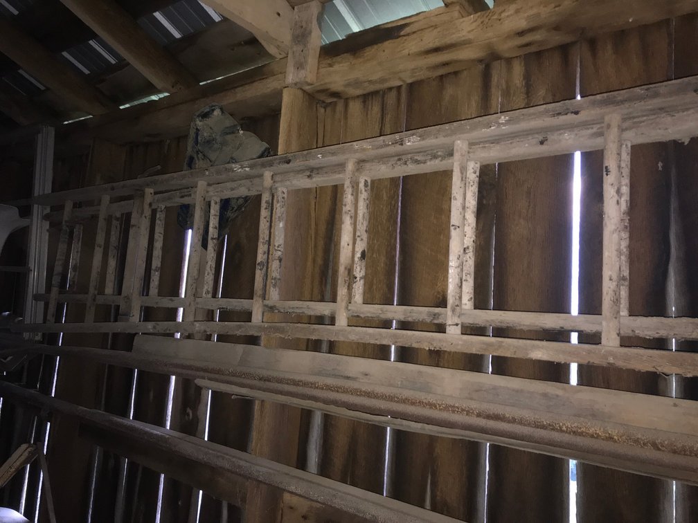 Wooden extension ladder