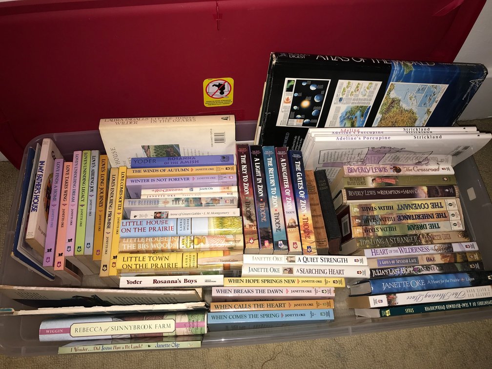 Container of assortment of books
