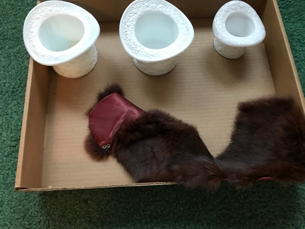 Glass hats, mink collar
