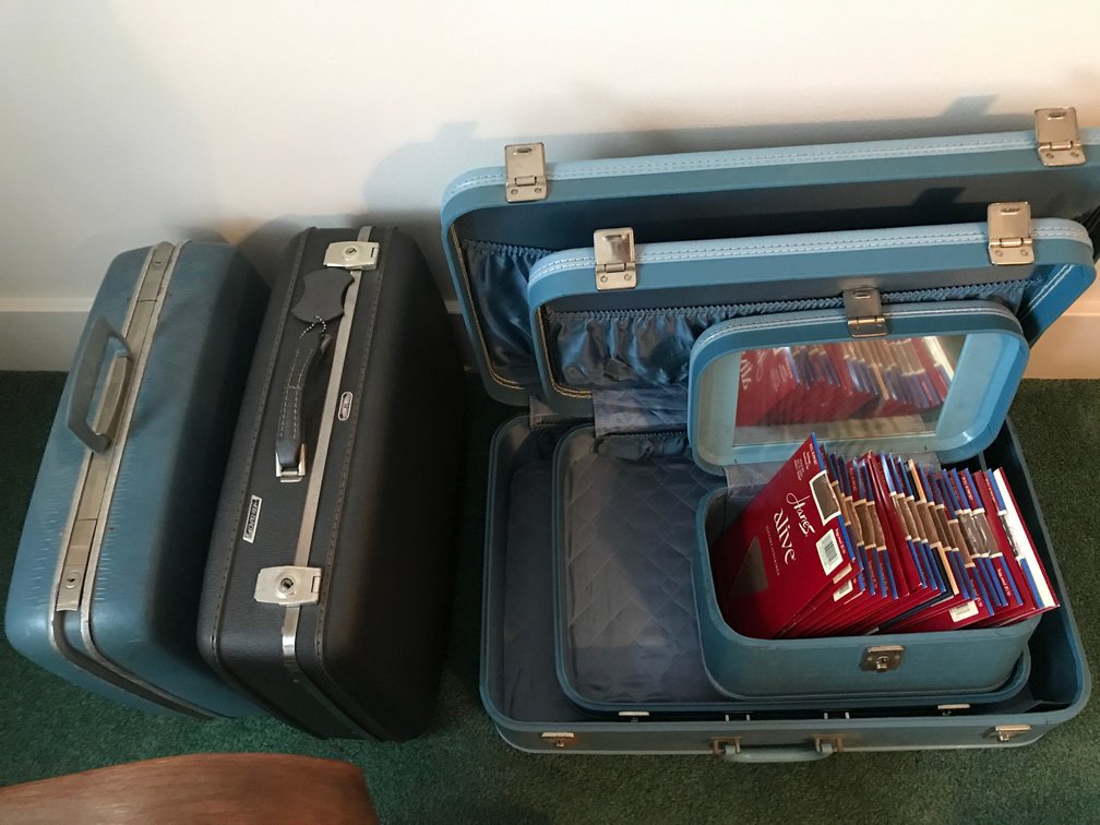 Vintage Luggage