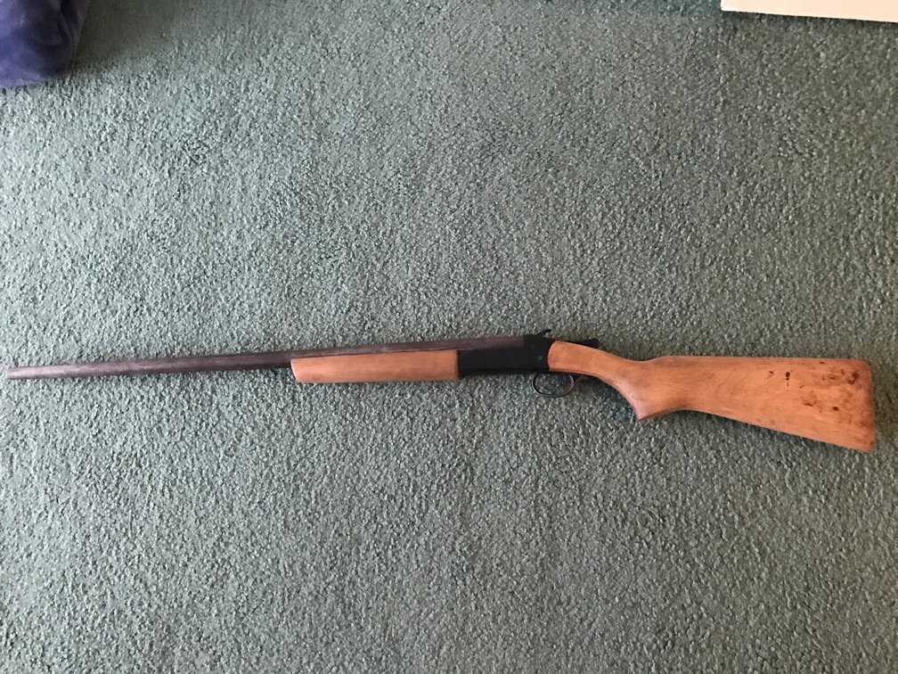Winchester Model 370,  16ga
