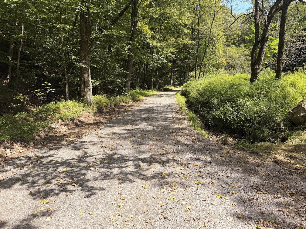 Image for Off-Grid Cabin on 10 Acres Near Monongahela National Forest in Tucker County