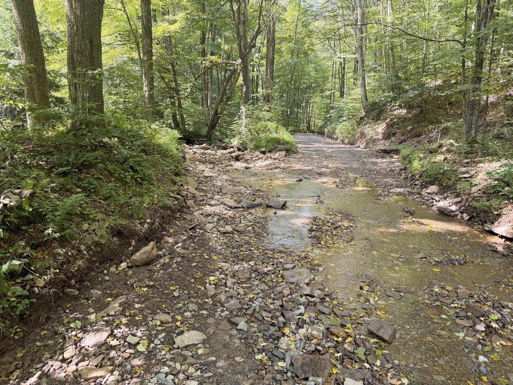 Image for Off-Grid Cabin on 10 Acres Near Monongahela National Forest in Tucker County