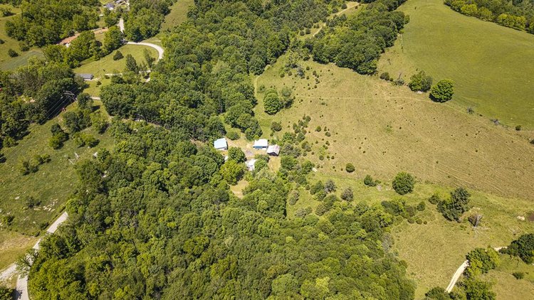 Image for Farm and Vineyard with Two Homes on 43 +/- Acres in Seneca Rocks