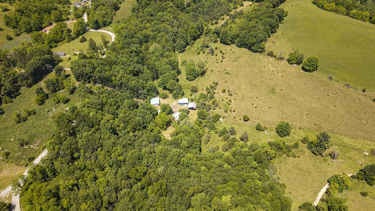 Image for Farm and Vineyard with Two Homes on 43 +/- Acres in Seneca Rocks