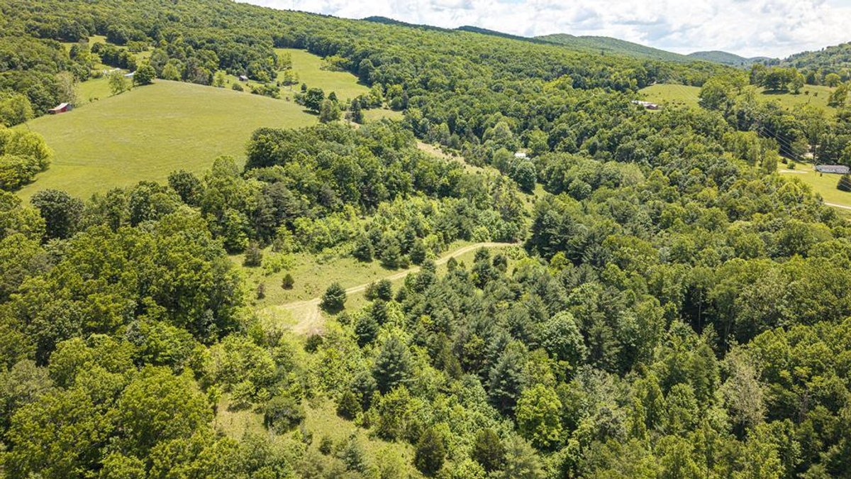 Image for Farm and Vineyard with Two Homes on 43 +/- Acres in Seneca Rocks
