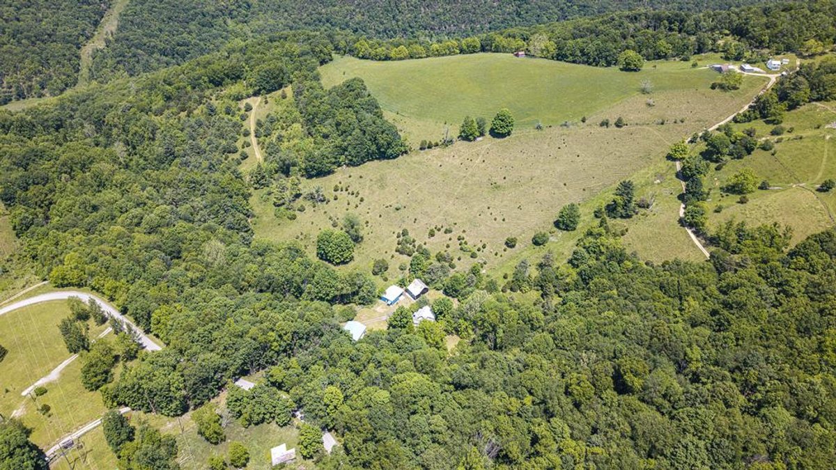 Image for Farm and Vineyard with Two Homes on 43 +/- Acres in Seneca Rocks