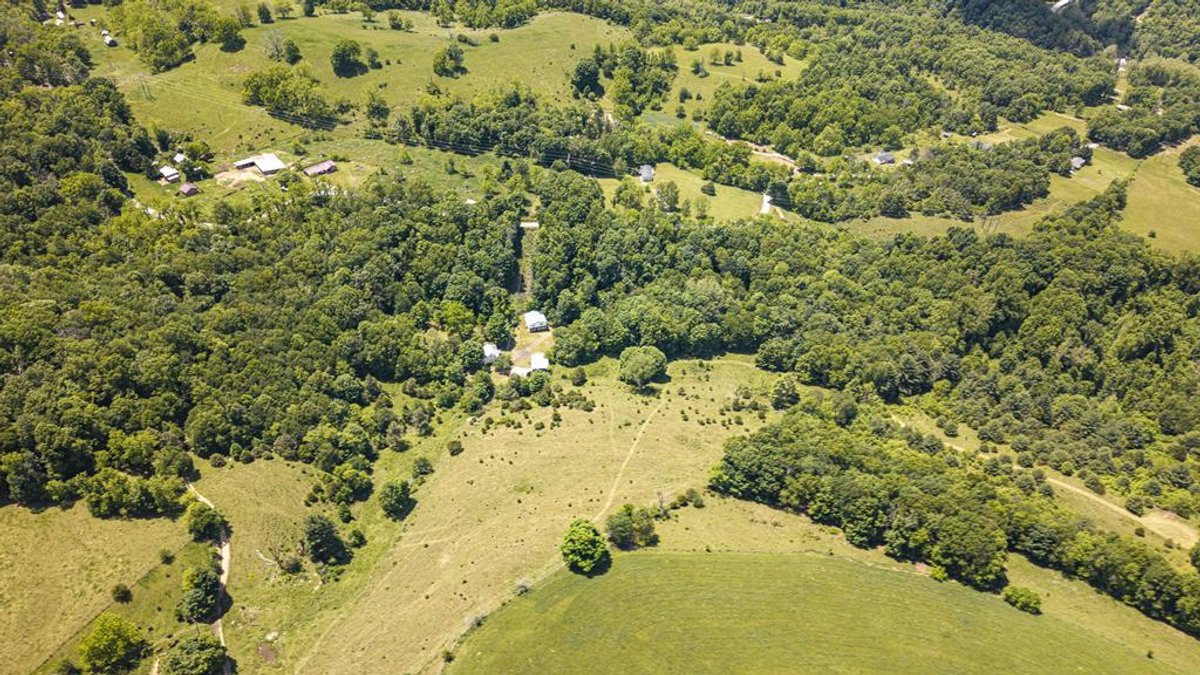 Image for Farm and Vineyard with Two Homes on 43 +/- Acres in Seneca Rocks