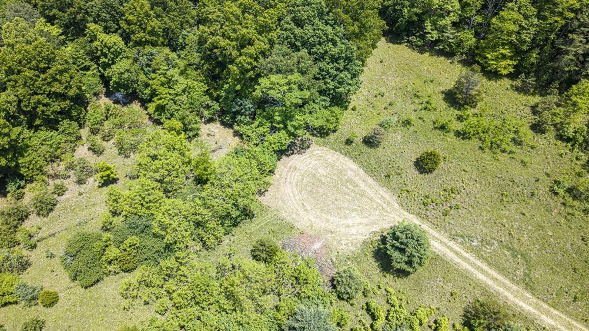 Image for Farm and Vineyard with Two Homes on 43 +/- Acres in Seneca Rocks