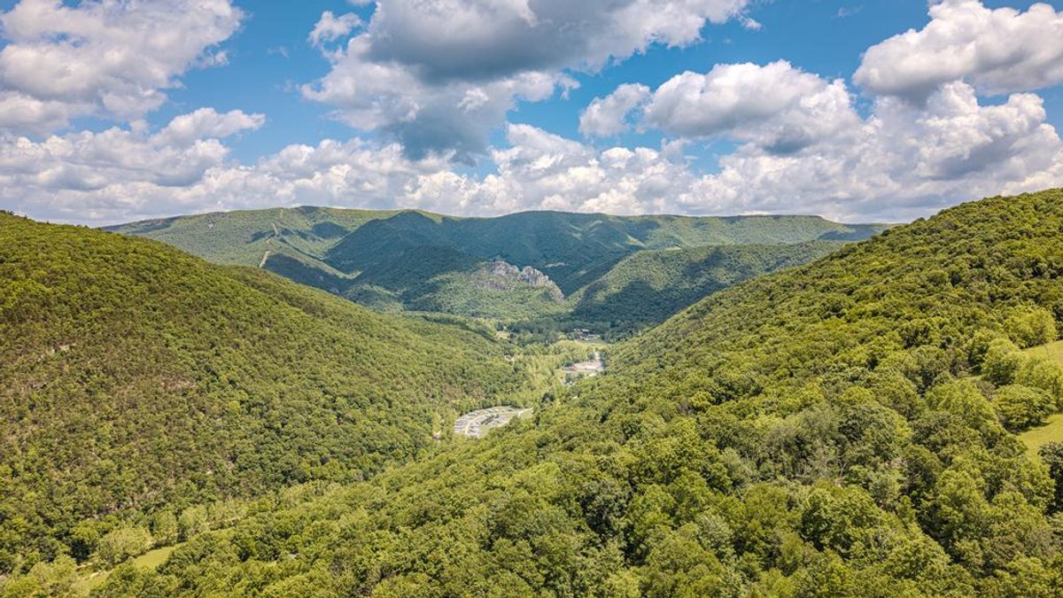 Image for Farm and Vineyard with Two Homes on 43 +/- Acres in Seneca Rocks