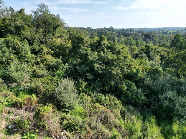 Image for 2.22 Buildable Acres in Putnam County