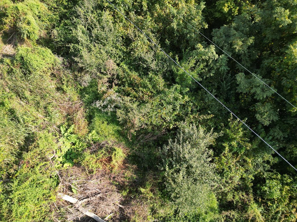 Image for 2.22 Buildable Acres in Putnam County