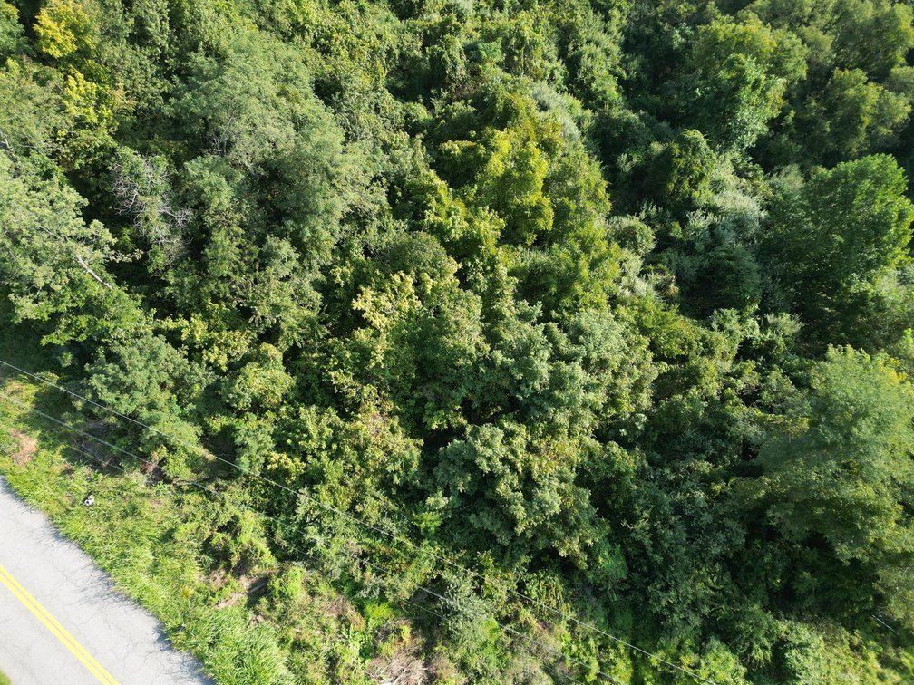 Image for 2.22 Buildable Acres in Putnam County
