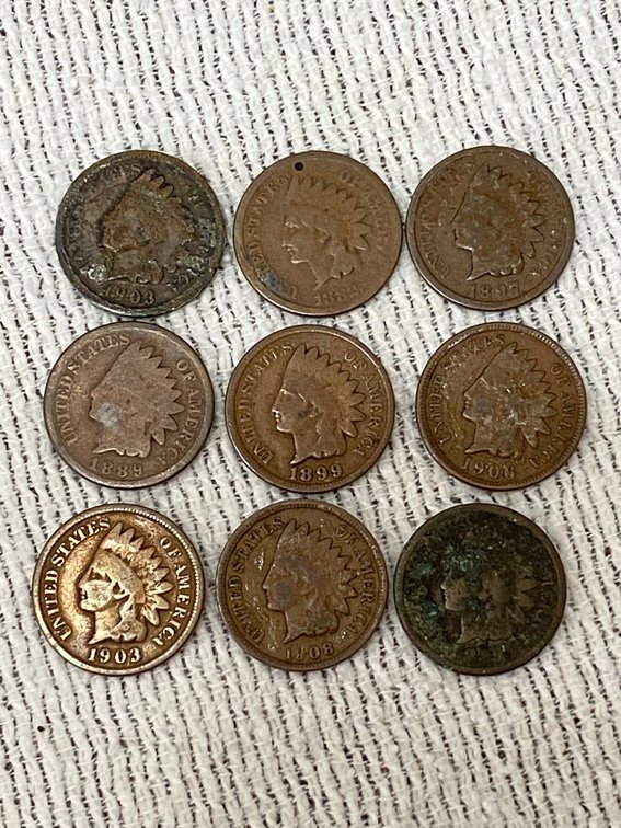 9-Indian head Pennies