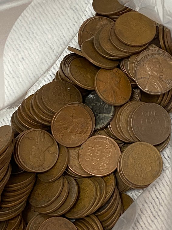 244-Wheat Pennies
