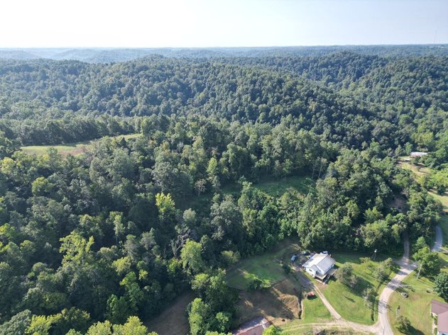 Image for Nearly 200 Acre Farm with Ranch Home in Mason County