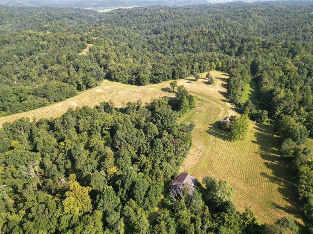Image for Nearly 200 Acre Farm with Ranch Home in Mason County