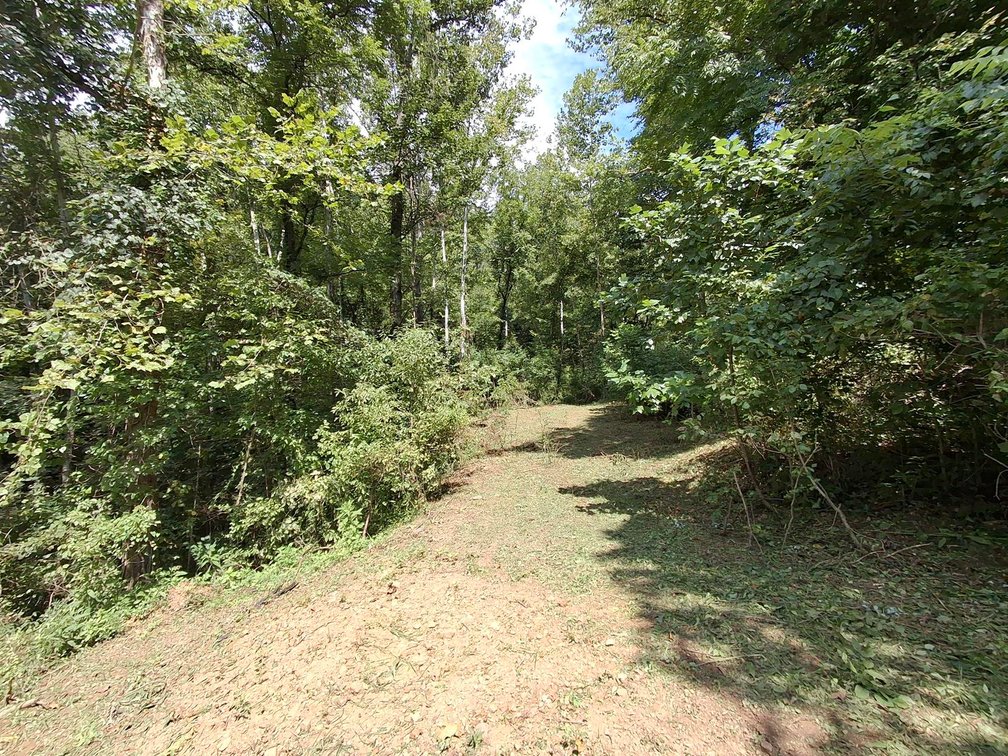 Image for Nearly 200 Acre Farm with Ranch Home in Mason County