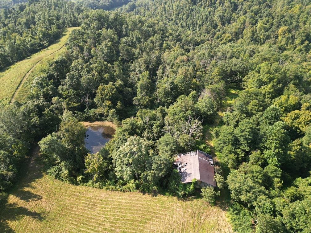 Image for Nearly 200 Acre Farm with Ranch Home in Mason County