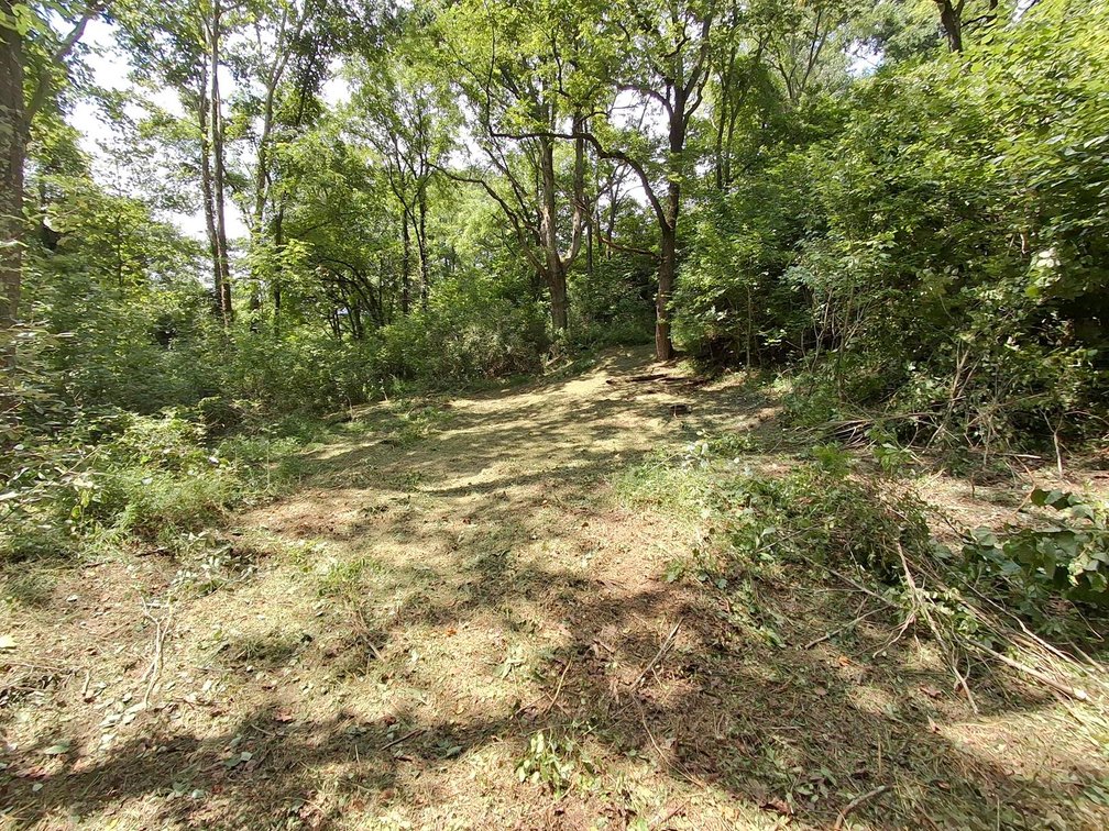 Image for Nearly 200 Acre Farm with Ranch Home in Mason County