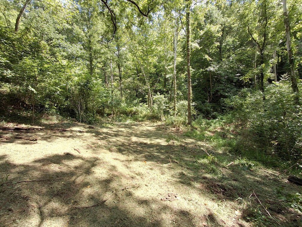 Image for Nearly 200 Acre Farm with Ranch Home in Mason County