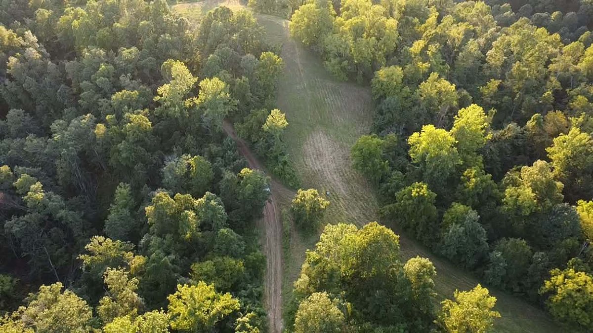 Image for Nearly 200 Acre Farm with Ranch Home in Mason County