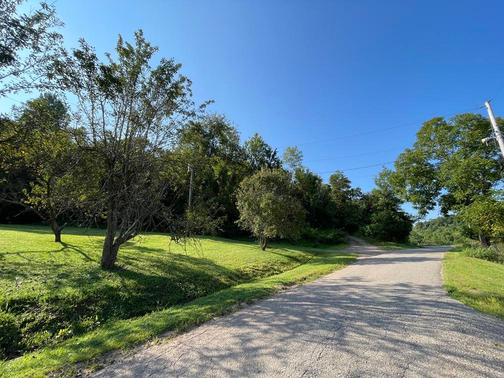 Image for Nearly 200 Acre Farm with Ranch Home in Mason County