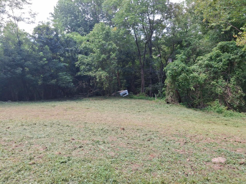 Image for Nearly 200 Acre Farm with Ranch Home in Mason County