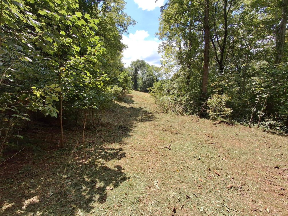 Image for Nearly 200 Acre Farm with Ranch Home in Mason County