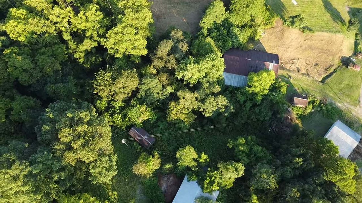Image for Nearly 200 Acre Farm with Ranch Home in Mason County