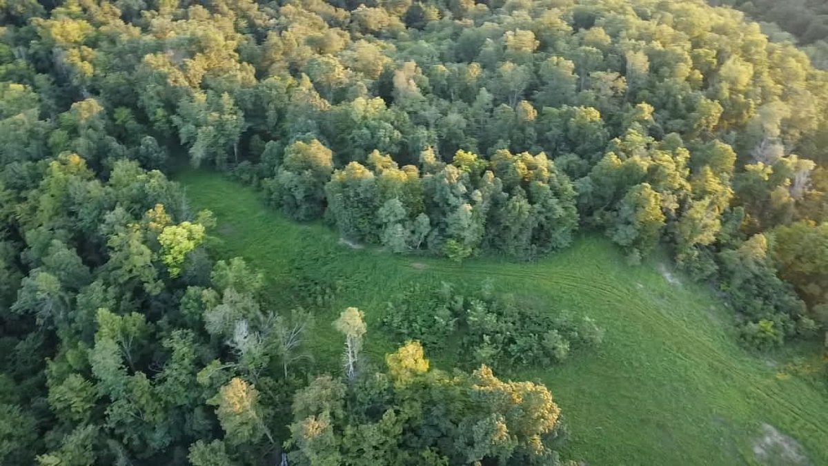 Image for Nearly 200 Acre Farm with Ranch Home in Mason County