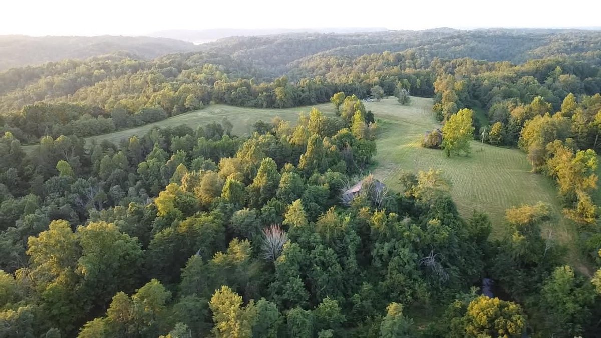 Image for Nearly 200 Acre Farm with Ranch Home in Mason County