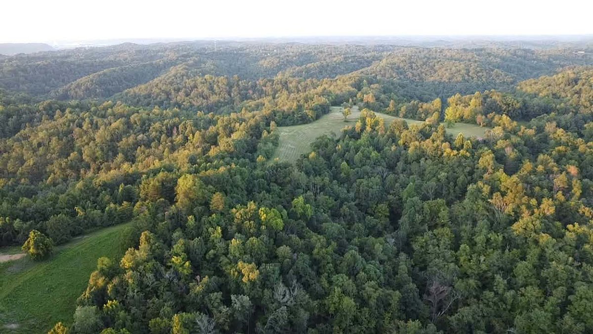 Image for Nearly 200 Acre Farm with Ranch Home in Mason County
