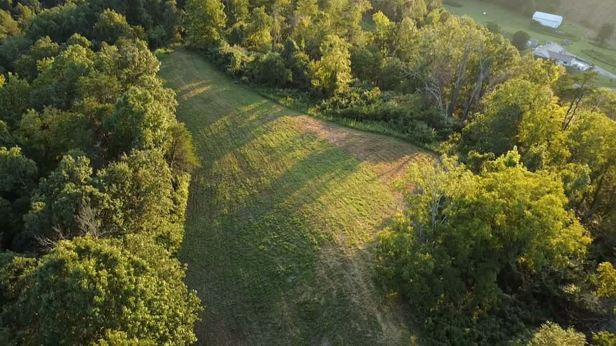 Image for Nearly 200 Acre Farm with Ranch Home in Mason County