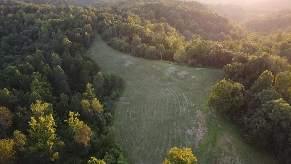 Image for Nearly 200 Acre Farm with Ranch Home in Mason County