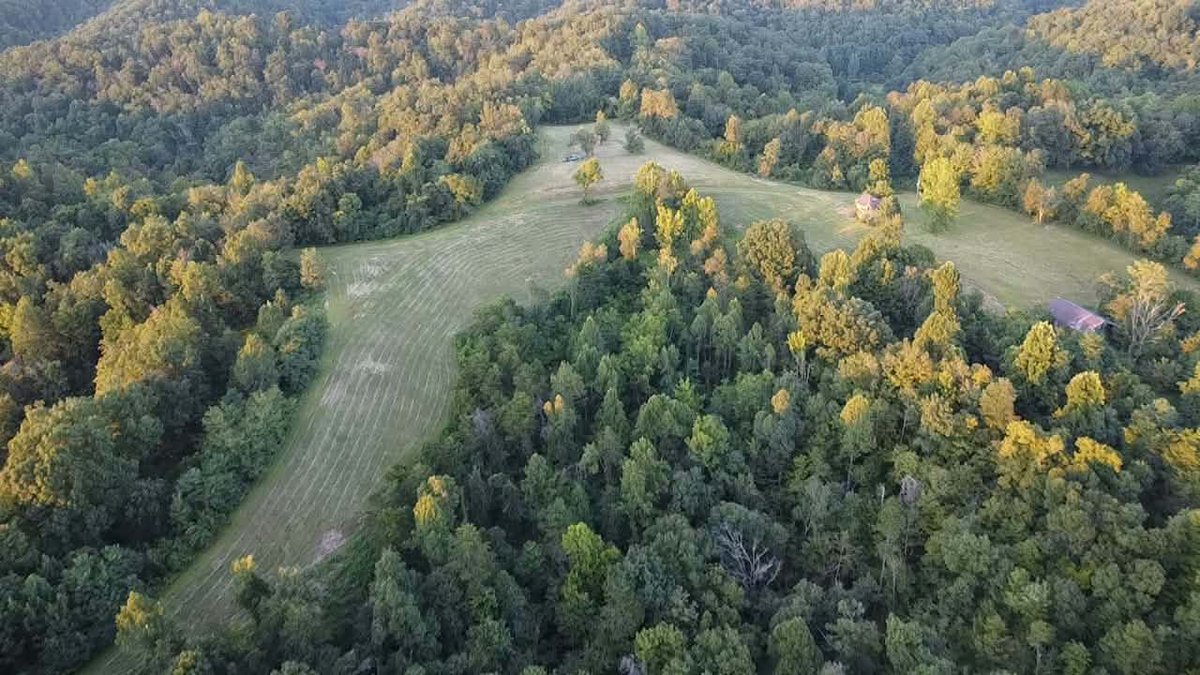 Image for Nearly 200 Acre Farm with Ranch Home in Mason County