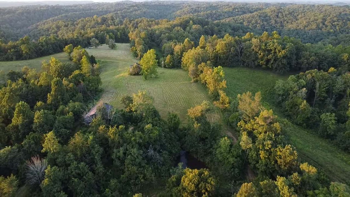 Image for Nearly 200 Acre Farm with Ranch Home in Mason County