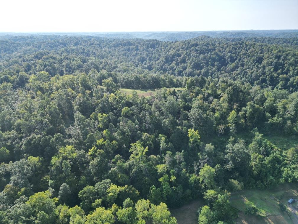 Image for Nearly 200 Acre Farm with Ranch Home in Mason County