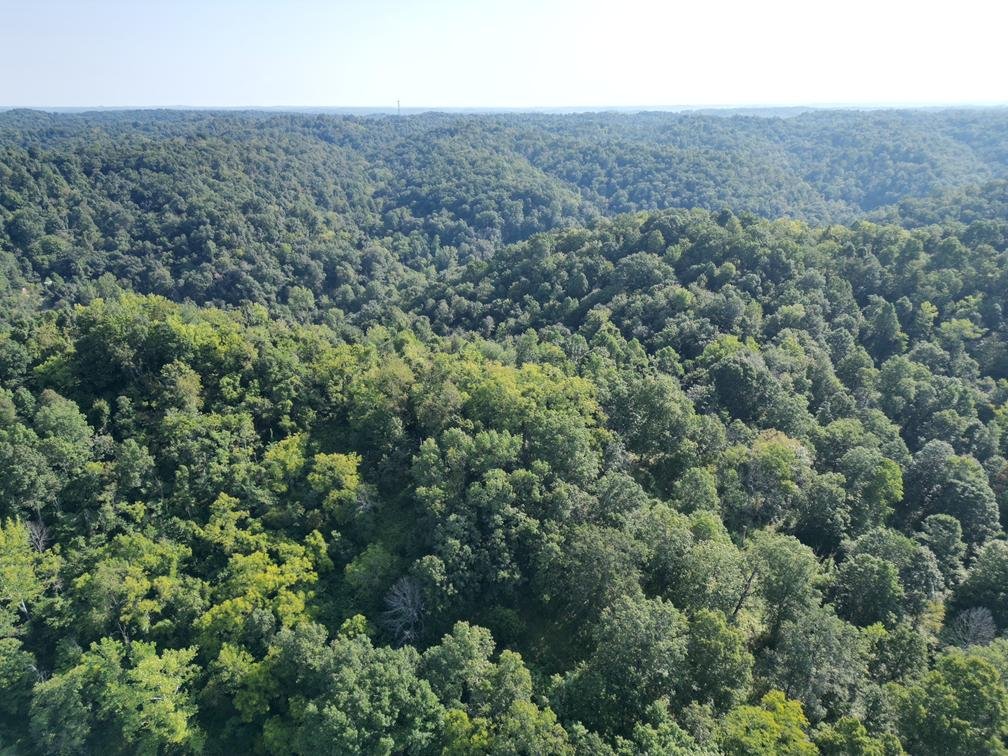 Image for Nearly 200 Acre Farm with Ranch Home in Mason County
